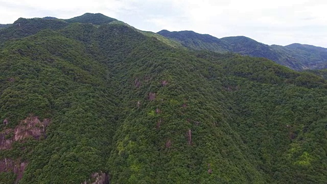 山上森林鸟瞰图/福建，中国。视频素材