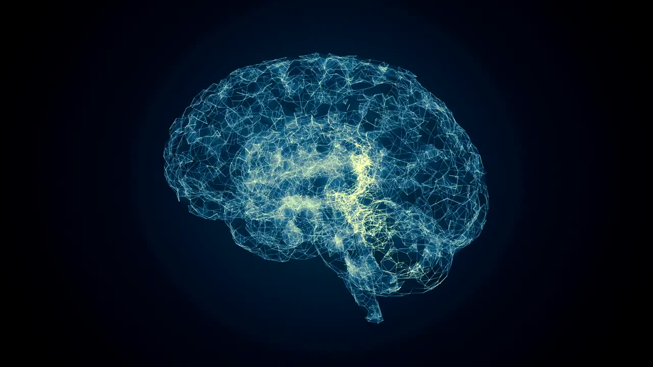 大脑神经元活动视频下载