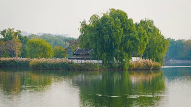 WSÊLake和中国北京圆明园的中式建筑视频素材