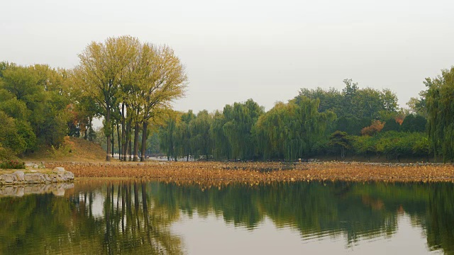 WS湖inÊOld颐和园，北京，中国视频素材