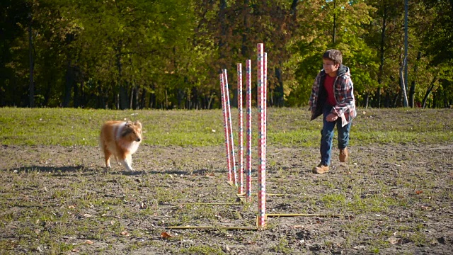 男孩跑步与牧羊犬在回转敏捷训练视频素材