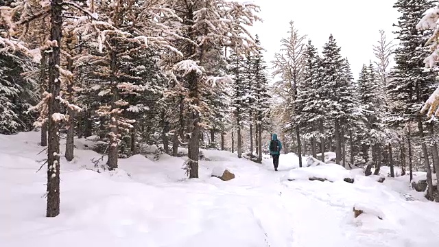 女人徒步旅行与雪在森林，冬天视频素材