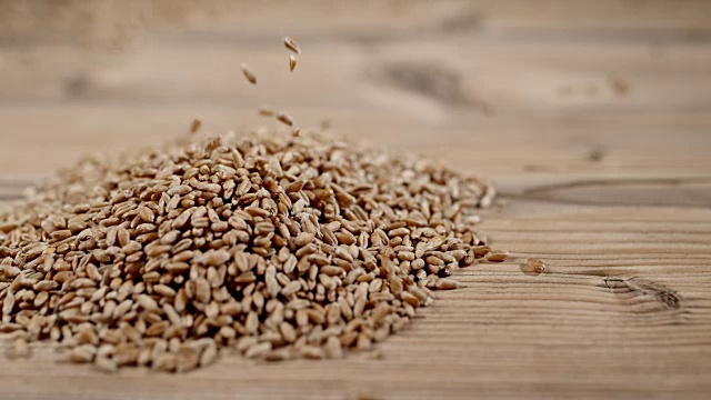 小麦粒落在桌上视频素材