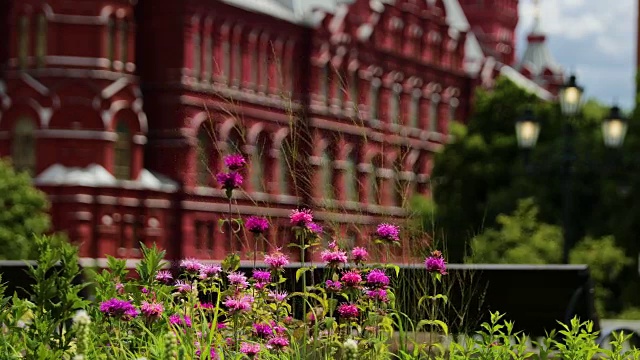 国家历史博物馆和花卉，莫斯科，俄罗斯视频素材