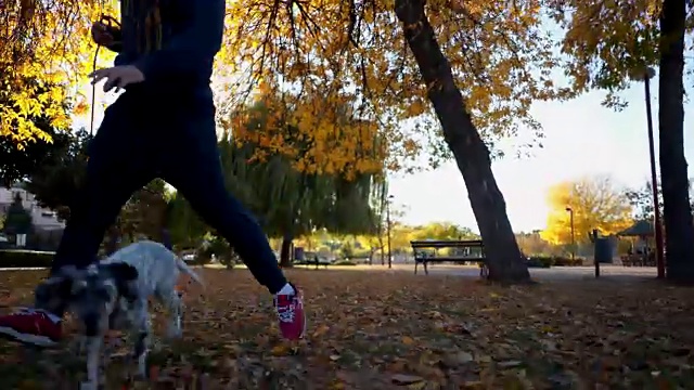 可爱的狗和它的主人在公园里跑步视频素材