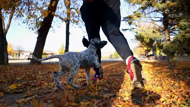 一个人和他的狗在公园里跑着玩视频素材