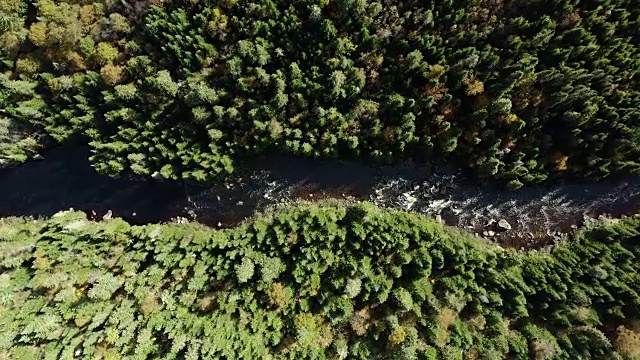 鸟瞰北方自然森林和河流在秋天，魁北克，加拿大视频素材
