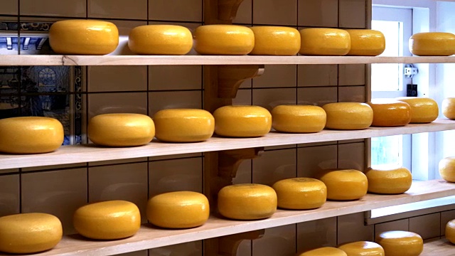 阿姆斯特丹附近的历史村庄zaanse schans的奶酪轮视频下载