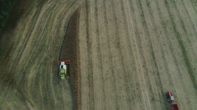 无人机拍摄，鸟瞰联合收割机收割农村小麦作物视频素材
