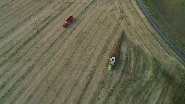 无人机拍摄，鸟瞰联合收割机收割农村小麦作物视频素材