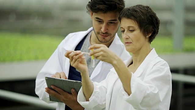 两个科学家，男和女，穿着白大褂拿着试管和平板电脑，在农场温室做土壤测试时检查样本视频素材