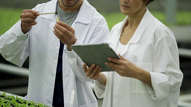 从种植在商业温室的带叶蔬菜的花盆中采集土壤样本，用样本检验试管并将结果输入平板电脑数据库的男女农业科学家的研究进展视频素材