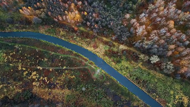 鸟瞰图:在美丽的秋日森林中直接飞越河流。视频下载