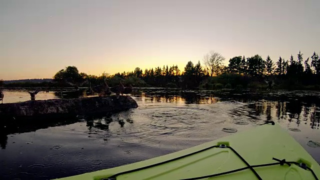 日落时分，坐在原木上的鸭子划着皮划艇视频素材