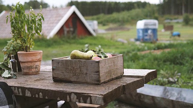 男人的腹部保持水果板条箱在木桌上，同时准备晚餐派对视频素材