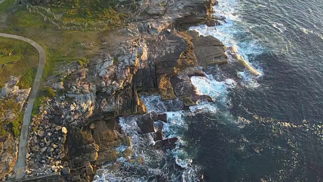 悉尼的海岸线视频素材