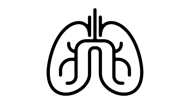 肺线运动图形视频下载