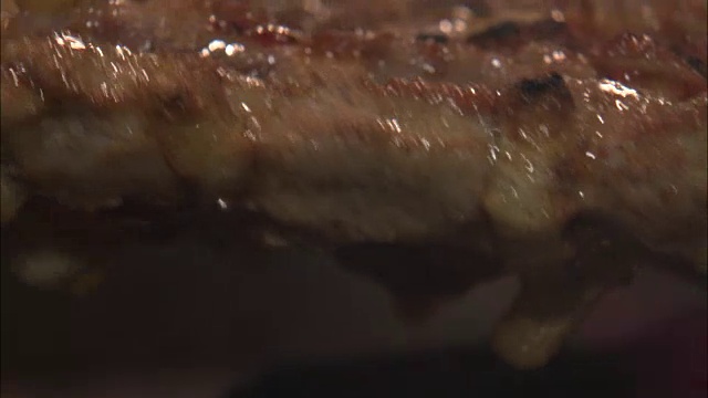 在中国开封的夜市拍摄的猪肉串视频素材