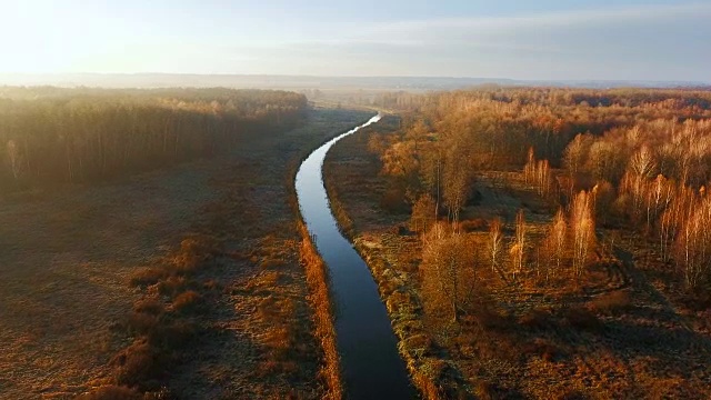 鸟瞰图:在美丽的秋日森林中飞过河流视频下载