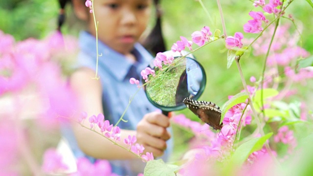 一个女孩用放大镜看树枝上的蝴蝶视频素材