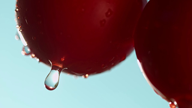 水滴从红番茄上滴下来视频素材