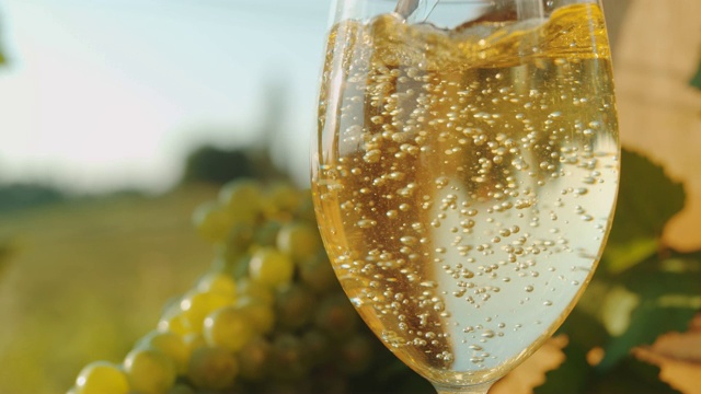 SLO MO向玻璃杯中倒入葡萄酒的特写镜头视频素材
