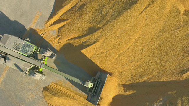 高空装载机挖掘机在仓库里搬运玉米视频素材