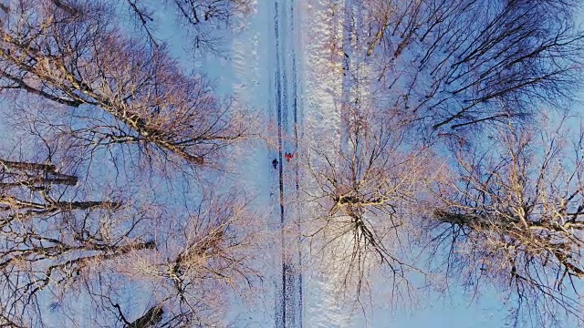 人们走在被雪覆盖的森林小径上。高空鸟瞰图。视频素材