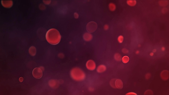 红细胞在动脉中流动视频下载