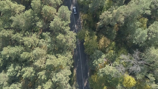 鸟瞰图飞过破旧的两车道森林道路与汽车移动绿树茂密的树林生长的两边。汽车沿着森林道路行驶。汽车穿过松林视频素材