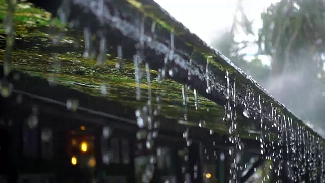 SLO MO水雨滴从青苔屋顶与雾视频素材