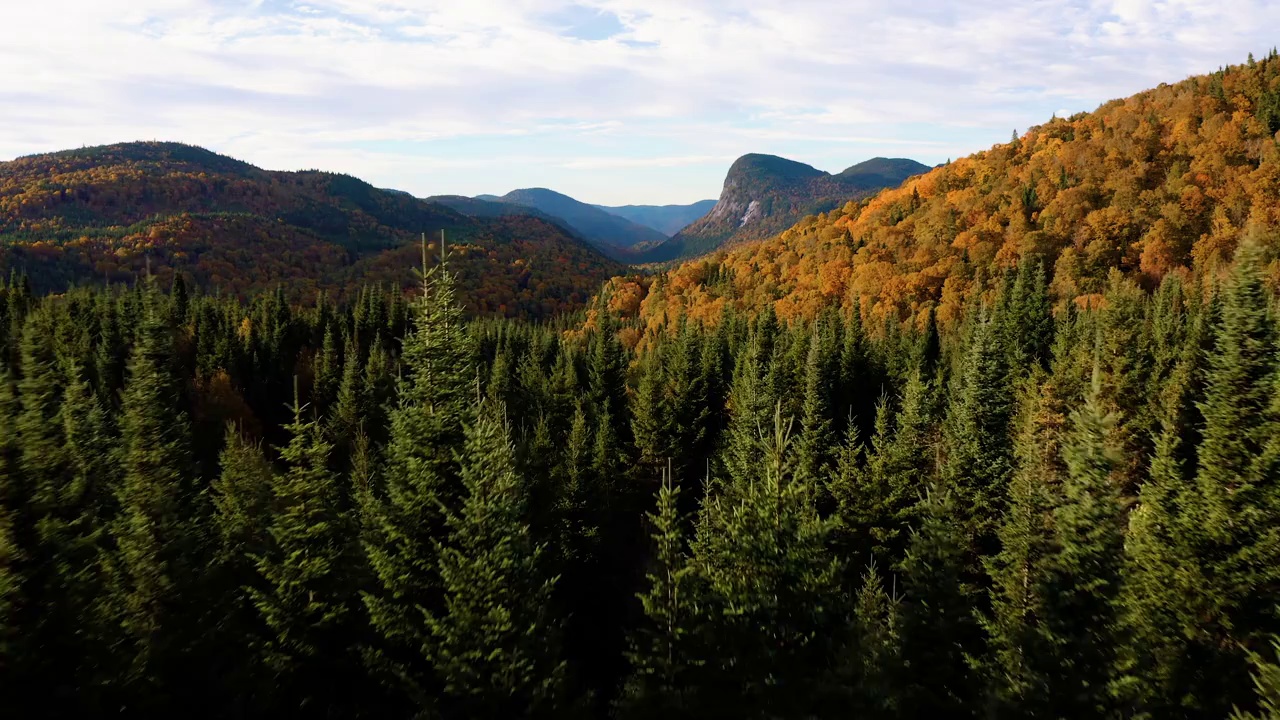 鸟瞰图的北方森林自然在秋天的日出，魁北克，加拿大视频素材