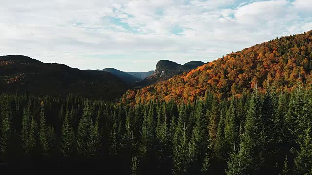 鸟瞰图的北方森林自然在秋天在日出，魁北克，加拿大视频素材