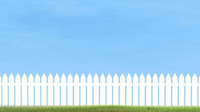 尖桩篱笆草和蓝天高清视频素材