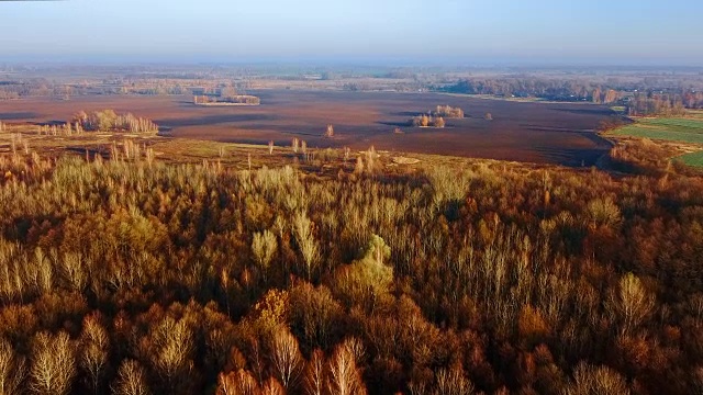 飞过一片美丽的落叶林和一片在晚秋日落时犁过的农田。视频下载