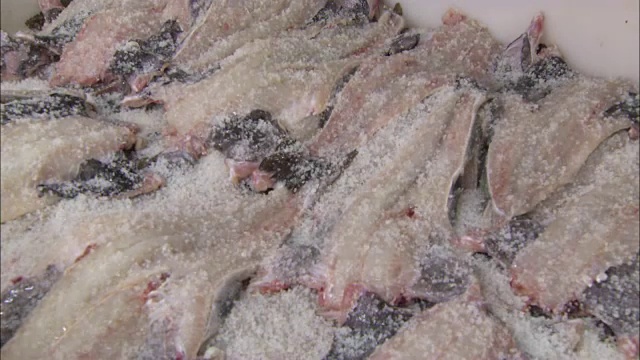 鳕鱼在一家鱼类加工厂被腌制视频下载
