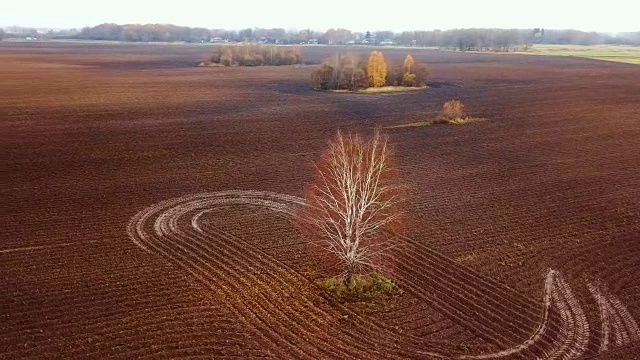在秋天收割后的田地上空飞翔。视频下载
