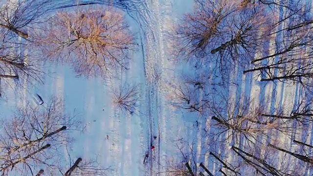 空中，飞翔在冰雪覆盖的雪山森林的荒野上。视频素材