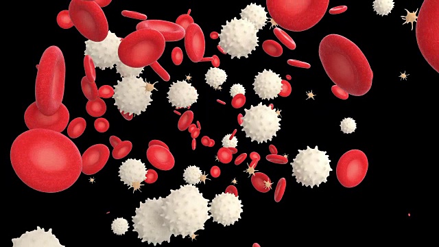 三维动画的血液与红细胞，白细胞和血小板视频下载