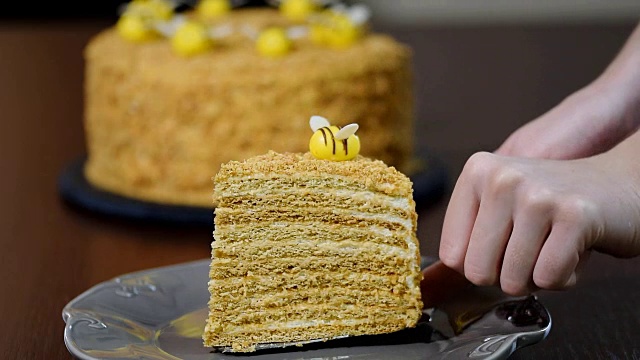 一片自制的多层蜂蜜蛋糕。视频素材