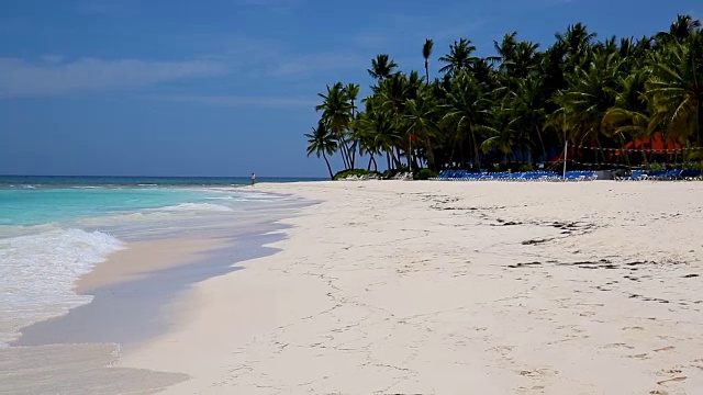 加勒比海的白沙岛和椰子树。旅游、休闲、享受的概念视频下载