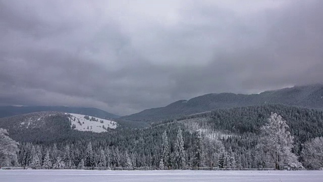 冬季山林视频下载