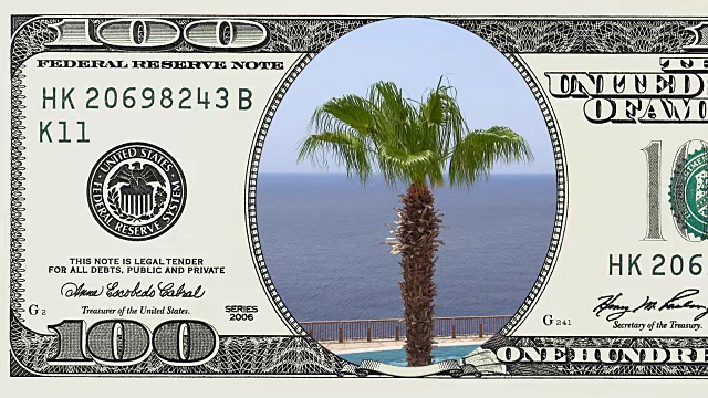 风中的棕榈树在100元美钞的框架视频下载