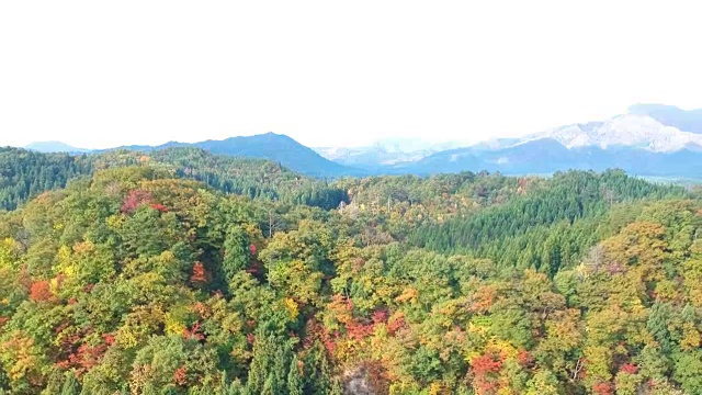 空撮　秋の紅葉　日本视频素材