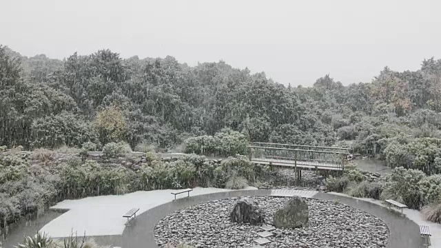 花园里正在下雪视频下载
