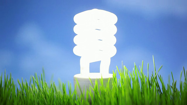 草中的紧凑型荧光灯泡视频素材