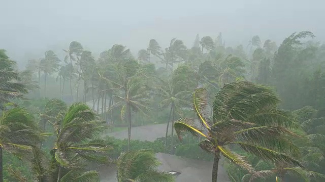 暴雨和大风袭击夏威夷视频下载