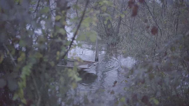留着胡子的老渔夫穿着雨具，独自划着船沿着乡村的河流划下去视频素材