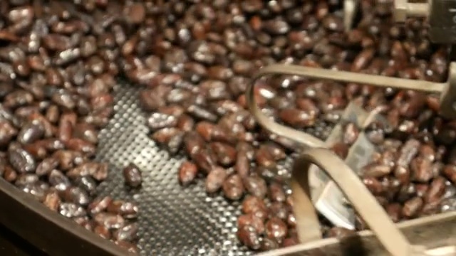 可可豆在烘培机视频素材
