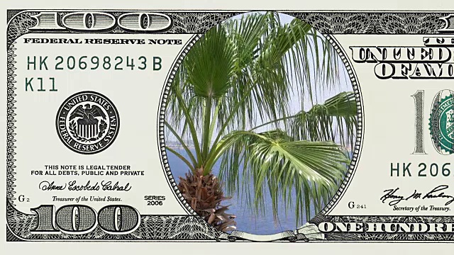 风中的棕榈树在100元美钞的框架视频下载